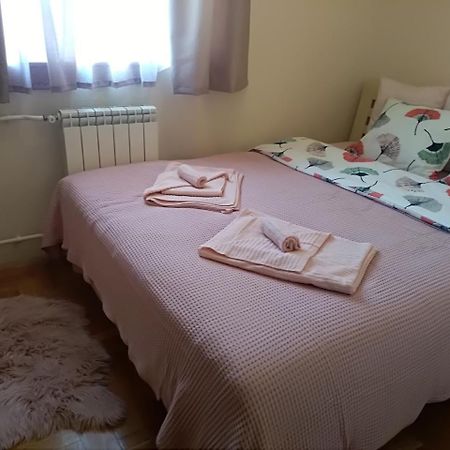 Apartman Nina Vojvode Stepe Vozdovac Voždivac Zewnętrze zdjęcie